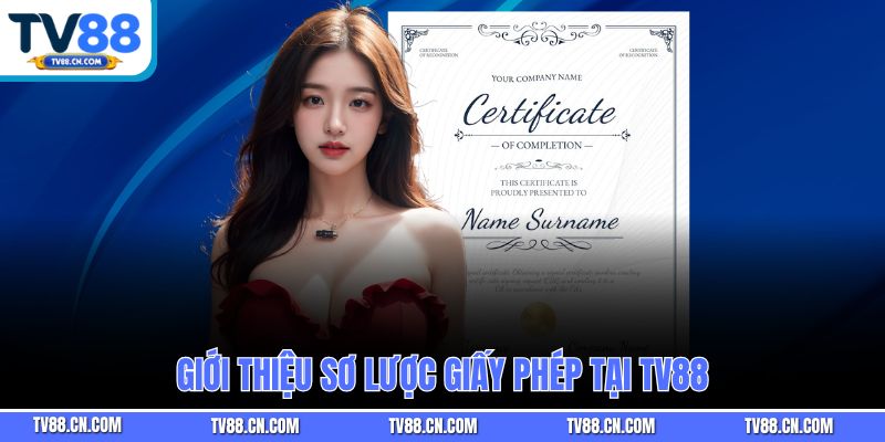 Giới thiệu sơ lược giấy phép tại TV88