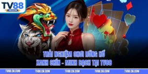 Trải Nghiệm Chơi Rồng Hổ Xanh Chín - Minh Bạch Tại TV88